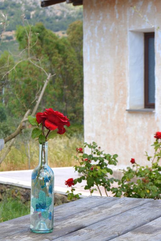 Agriturismo Rubinu Galtellì 객실 사진