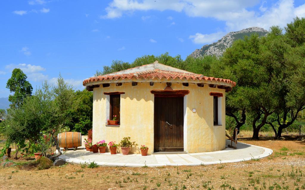 Agriturismo Rubinu Galtellì 객실 사진