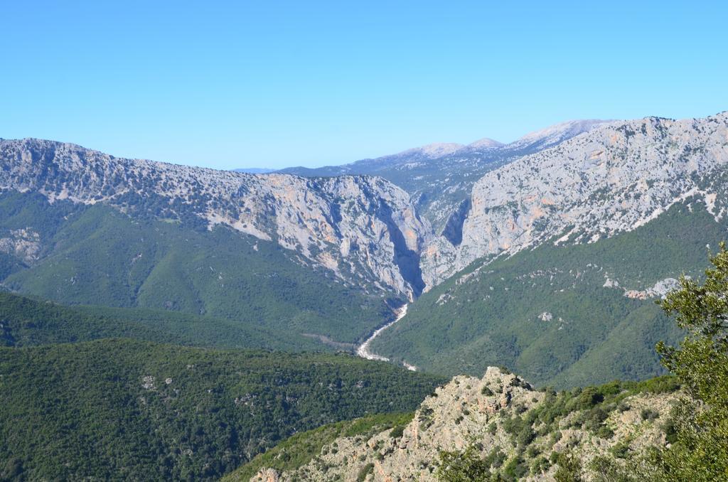 Agriturismo Rubinu Galtellì 외부 사진