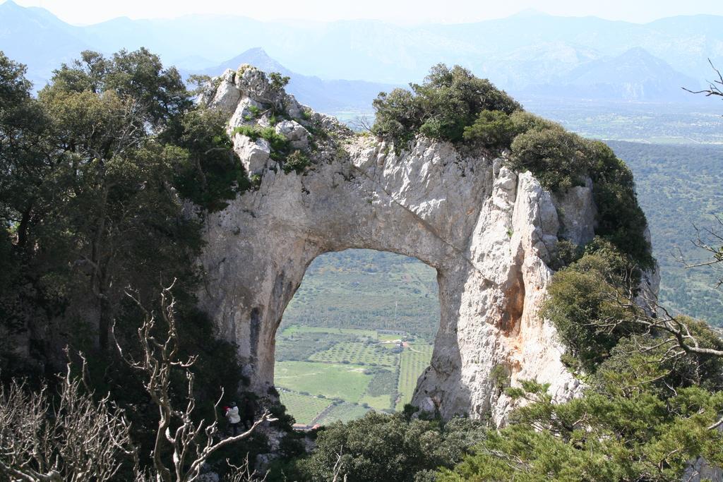 Agriturismo Rubinu Galtellì 외부 사진